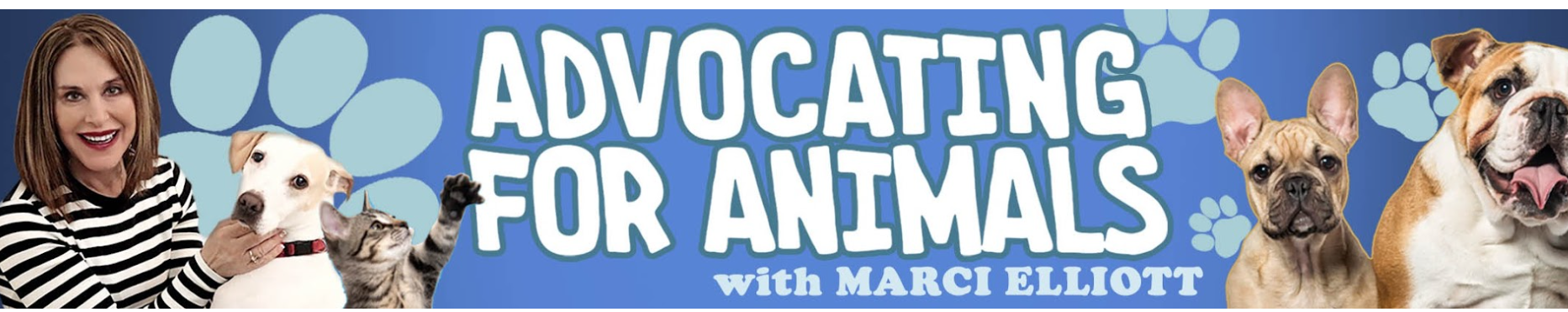 Advocating for Animals (Banner)
